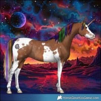 Horse Color:Painted Bay Splash Tobiano Rabicano