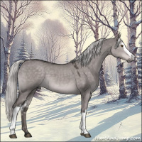 Horse Color:Platinum White Spotted Liver Red Dun Mushroom Sabino 