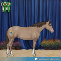 Horse Color:Classic Champagne 