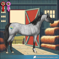 Horse Color:Blue Roan 