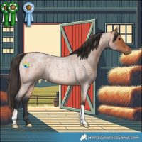 Horse Color:Bay Roan Rabicano 
