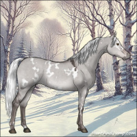 Horse Color:Platinum White Spotted Liver Red Dun Mushroom 