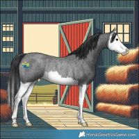 Horse Color:Blue Roan Splash Rabicano 
