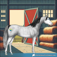 Horse Color:Blue Roan Splash Rabicano 