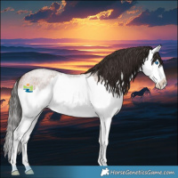 Horse Color:Bay Roan Splash Rabicano 