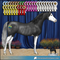 Horse Color:Black Splash Rabicano
