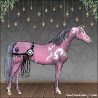 Horse Color:Gray Watercolor White Spotted Sable Champagne Appaloosa 