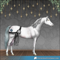 Horse Color:Gray Watercolor White Spotted Sable Champagne Blanket 