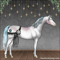 Horse Color:Gray Watercolor White Spotted Amber Champagne 