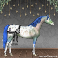 Horse Color:Watercolor Bay Onyx Appaloosa 