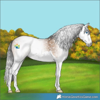 Horse Color:Gray Amber Champagne Splash Rabicano 