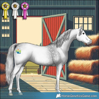 Horse Color:Gray Black Splash 