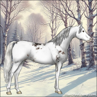 Horse Color:Liver Chestnut Mushroom Sabino 