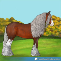 Horse Color:Silver Brown Sabino 