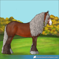 Horse Color:Silver Brown Sabino 