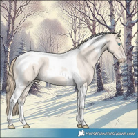 Horse Color:Smoky Creme Roan Tobiano 