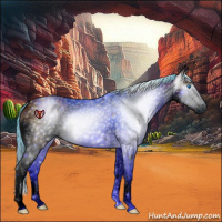 Horse Color:Gray Watercolor Buckskin Splash 