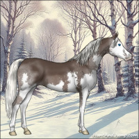 Horse Color:Liver Chestnut Mushroom Splash 