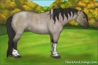Horse Color:Liver Red Dun Roan Tobiano 