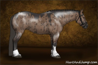 Horse Color:Liver Red Dun Tobiano Brindle 