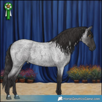Horse Color:Smoky Blue Roan 