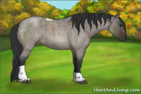 Horse Color:Brown Roan Dun Tobiano Rabicano 