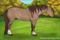 Horse Color:Liver Red Dun Tobiano 