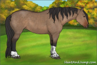 Horse Color:Liver Red Dun Tobiano Rabicano 
