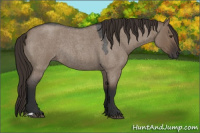 Horse Color:Liver Red Dun Roan Rabicano 