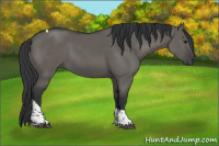 Horse Color:Grullo Tobiano 