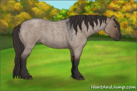 Horse Color:Liver Red Dun Roan 