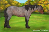 Horse Color:Liver Red Roan 