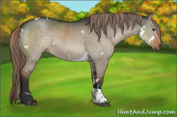 Horse Color:White Spotted Liver Red Dun Tobiano Rabicano 