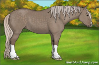 Horse Color:Silver Grullo