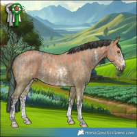 Horse Color:Platinum White Spotted Liver Red Dun Sabino Rabicano and Platinum Bay Dun Sabino Rabicano