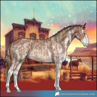 Horse Color:Cremello Sabino Rabicano  and Chestnut Sabino Rabicano 