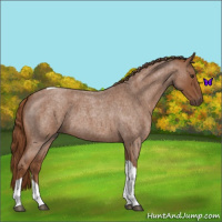 Horse Color:Red Roan Tobiano 