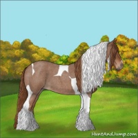 Horse Color:Red Roan Tobiano 