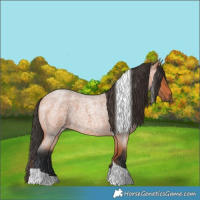 Horse Color:Bay Roan Tobiano