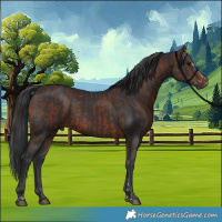 Horse Color:Brown Sabino Rabicano  and Brown Sabino Rabicano 