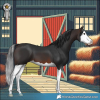 Horse Color:Brown Splash 