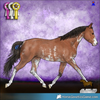 Horse Color:Bay Sabino Rabicano  and Bay Sabino Rabicano 