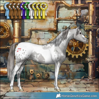 Horse Color:White Spotted Grullo Tobiano Appaloosa 