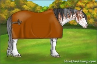 Horse Color:Bay Sabino Rabicano  and Bay Sabino Rabicano 