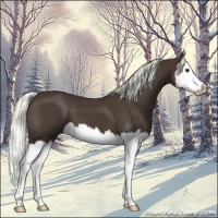 Horse Color:Liver Chestnut Mushroom Splash 