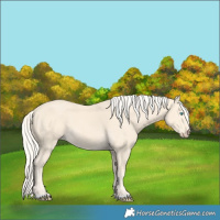 Horse Color:Cremello 