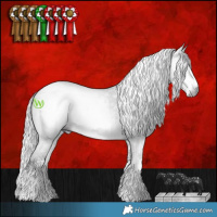 Horse Color:Gray White Spotted Silver Smoky Grullo Chinchilla Sabino 