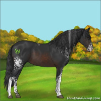 Horse Color:White Spotted Brown Mushroom Sabino 