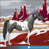 Horse Color:Grullo Tobiano 