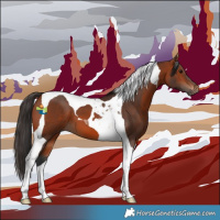 Horse Color:Bay Tobiano 